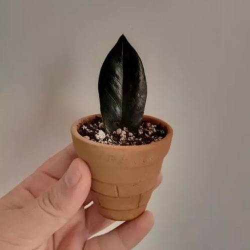 تست ثبت آیتم است514